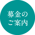 タイトル